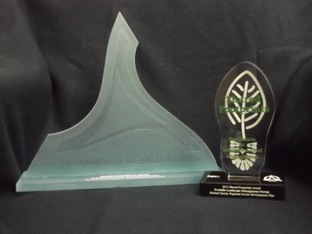 the emerald award
